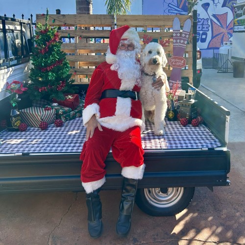 Tonya - March 2026 Volunteer of the Month