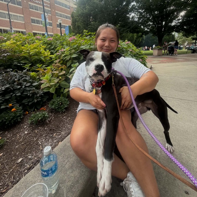 Paw Patrol Dayton's August 2026 Volunteer of the Month - Kat