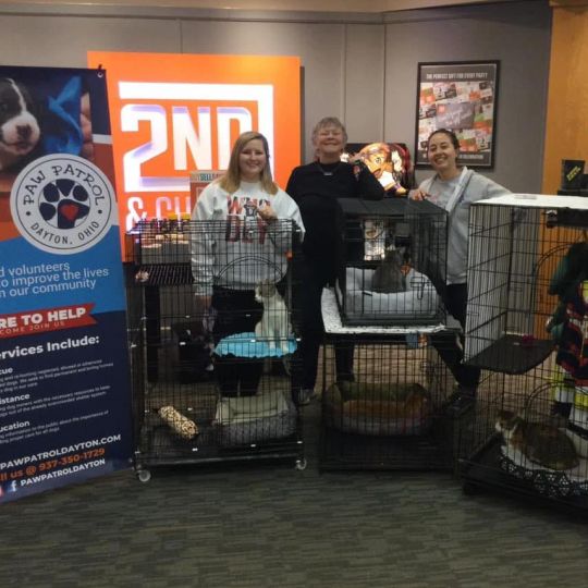 Paw Patrol Dayton's June 2025 Volunteer of the month, Barb, volunteering.
